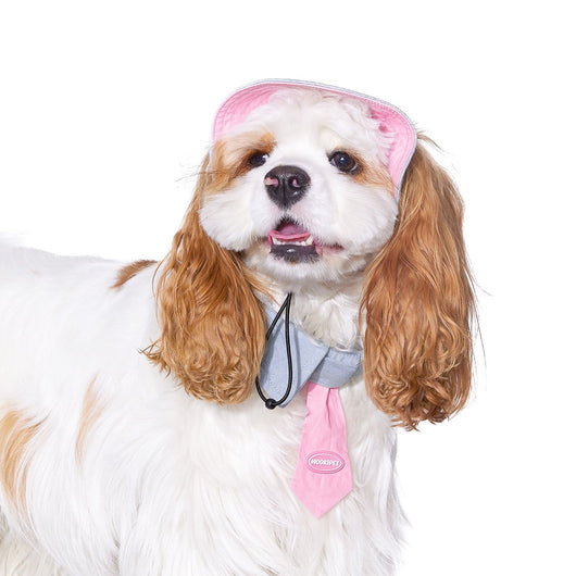 Toalla Absorbente para Perros Pequeños - Yorkshire, Bichón y Razas Toy - Image 3