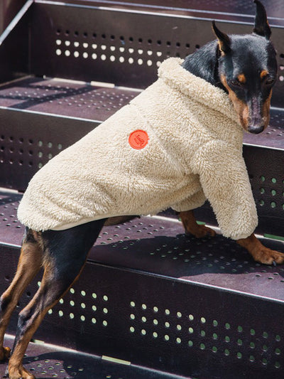 Traje Formal de Franela para Perros Pequeños y Medianos - Image 9