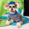 Suéter Cálido para Perros - Diseño Cuello Redondo Otoño Invierno