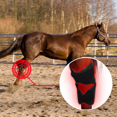 Dispositivo Portátil de Fototerapia para Recuperación de Espalda y Rodillas en Caballos - Image 6