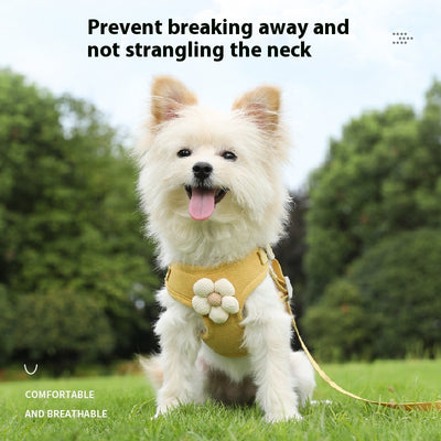 Arnés de Pecho para Perro con Correa de Cuerda - Sistema de Sujeción Corporal - Image 2
