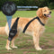 Rodillera Protectora para Perros - Soporte Ortopédico Post-Quirúrgico