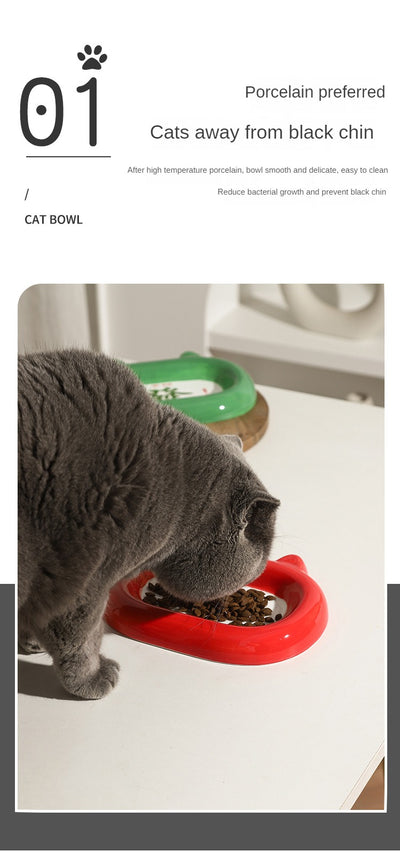 Comedero Cerámico para Gatos y Perros - Tazón Elegante para Alimento y Agua - Image 17