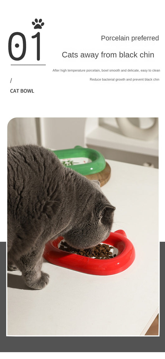 Comedero Cerámico para Gatos y Perros - Tazón Elegante para Alimento y Agua - Image 17