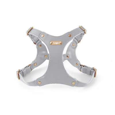 Correa Portátil de Cuero Suave para Perros Pequeños - Image 5