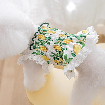 Falda Arnés Transpirable para Perros - Ropa Ligera y Cómoda - Image 2