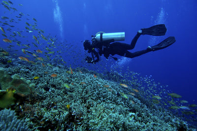 Linterna de Buceo Profesional LED Recargable Sumergible - Image 7