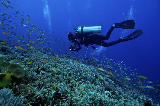 Linterna de Buceo Profesional LED Recargable Sumergible - Image 7