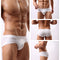 Boxer Modal Sexy de Moda Transpirable