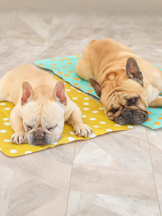 Almohadilla Gel Refrigerante para Mascotas