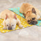 Almohadilla Gel Refrigerante para Mascotas