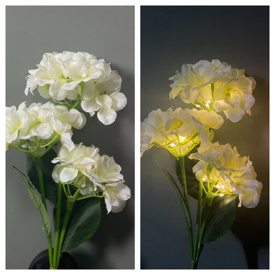 Luces Solares Decorativas para Jardín con Toma de Corriente - Image 10