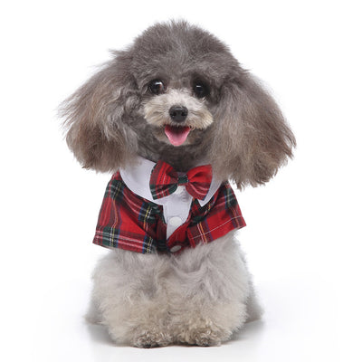 Conjunto de Ropa para Perros - Traje Completo de Moda - Image 33