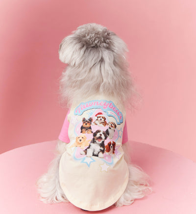 Ropa de Verano para Perros con Contraste de Colores - Image 11