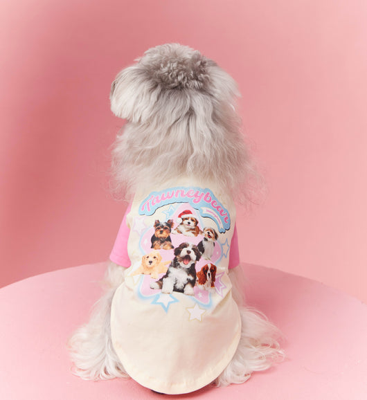 Ropa de Verano para Perros con Contraste de Colores - Image 11