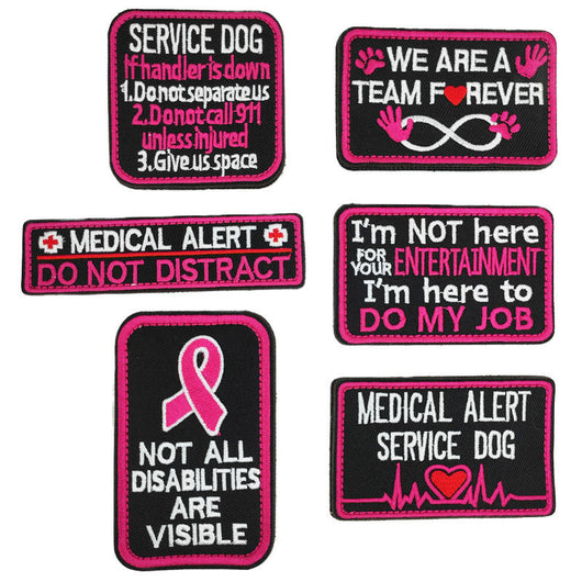 Accesorios para Perros con Bordado y Velcro - Pegatinas Decorativas Personalizables - Image 25