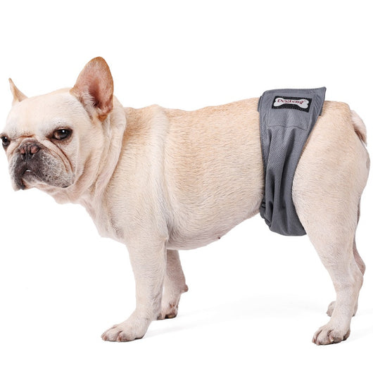 Pañal Protector para Perros Macho - Cinturón Sanitario Reutilizable - Image 2