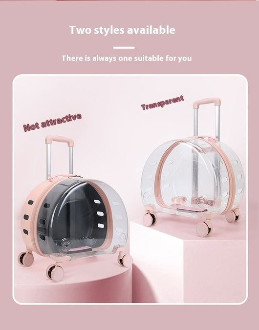 Mochila Transportadora Transparente para Gatos y Mascotas Pequeñas - Image 18