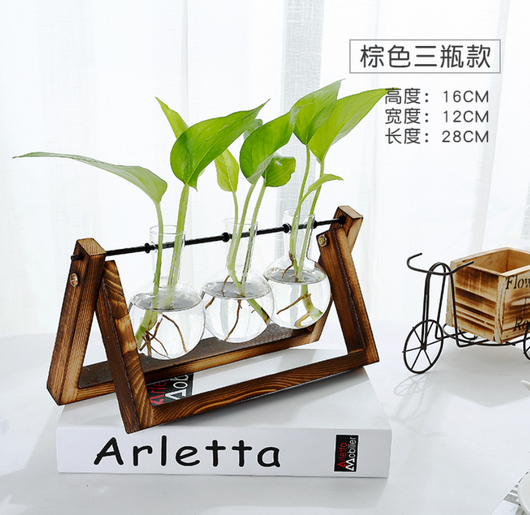 Maceta de Cristal para Plantas - Image 4