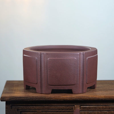 Maceta Hexagonal de Arena Púrpura para Bonsái - Diseño Clásico Minimalista - Image 6