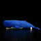Peluche Ballena Cachalote Adorable