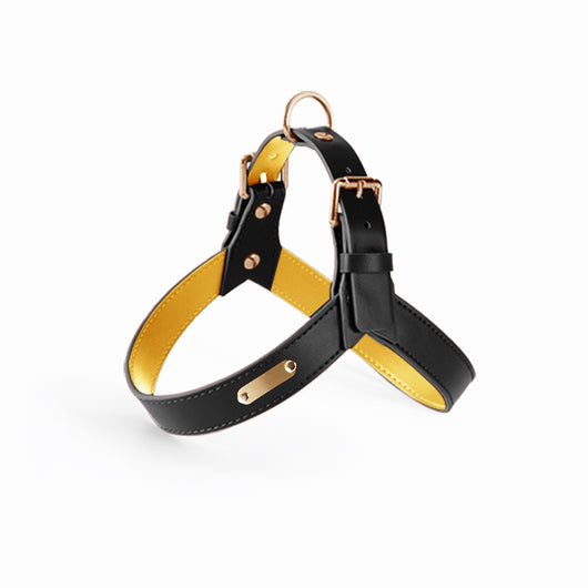 Arnés Chaleco para Perros y Gatos - Correa de Pecho Ajustable para Verano - Image 4