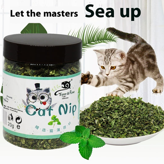 Polvo Depilatorio de Té de Catnip - Bola 280ML - Image 11