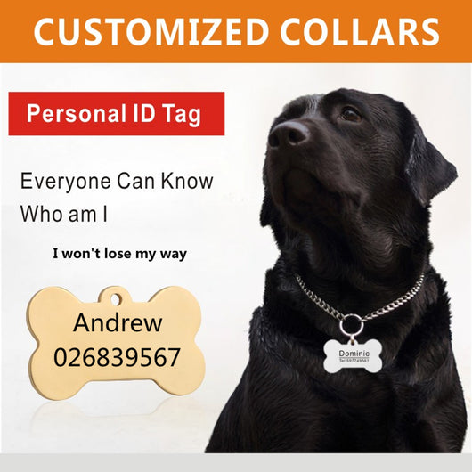 Placa de Identificación Antiextravío para Mascotas en Acero Titanio - Image 26