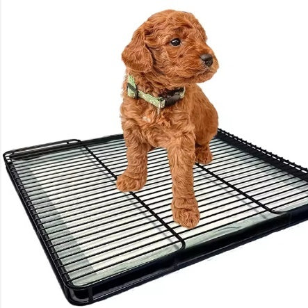Inodoro Portátil para Perros Pequeños - Bandeja Sanitaria Interior