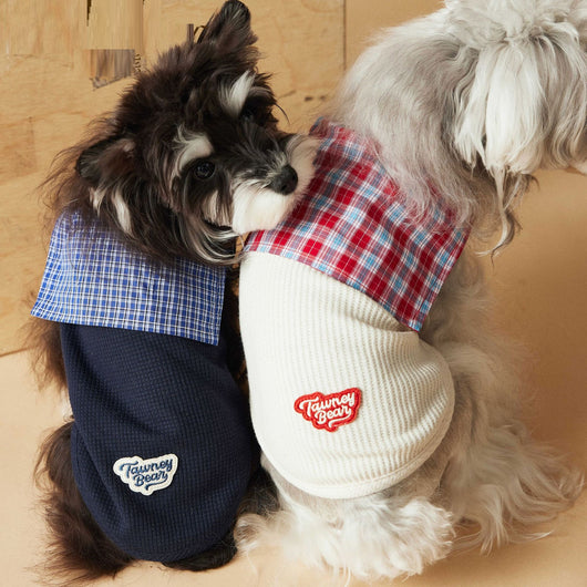 Chaleco Marinero sin Mangas para Mascotas - Schnauzer, Bichón, Yorkshire y Salchicha - Image 2