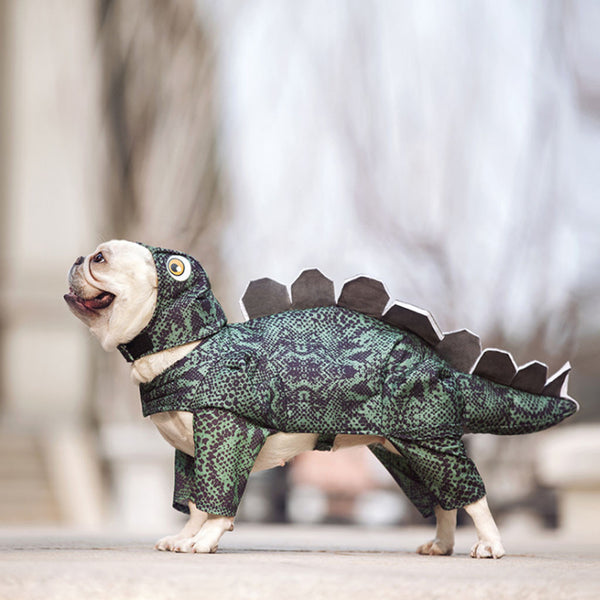 Ropa Dinosaurio para Mascotas