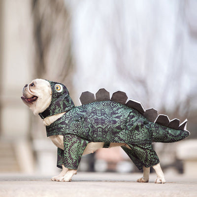 Ropa Dinosaurio para Mascotas