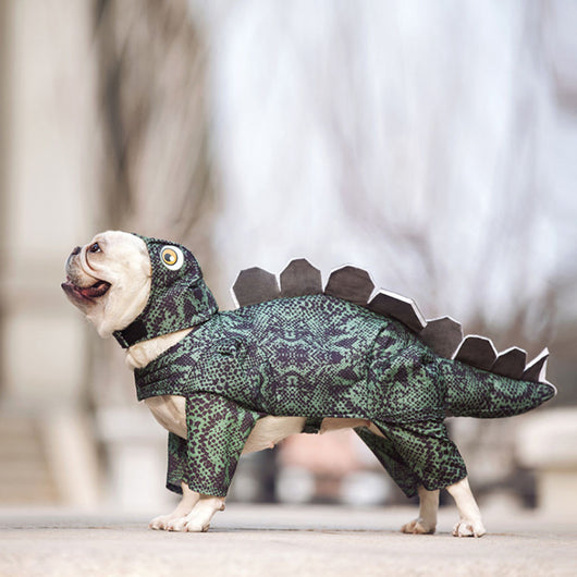 Ropa Dinosaurio para Mascotas
