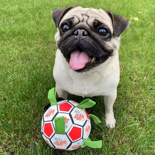 Juguete Pelota de Fútbol para Perros Resistente a Mordidas