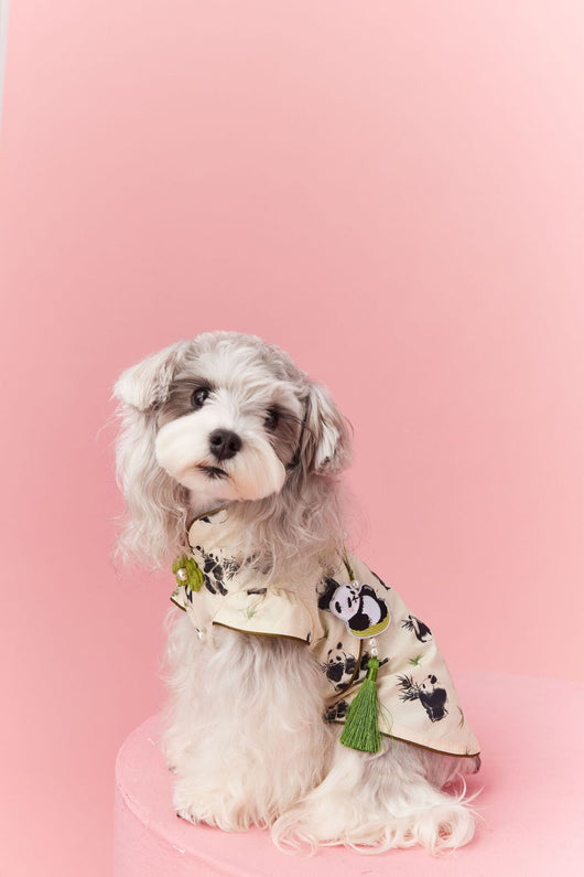 Chaleco sin Mangas Estilo Chino para Mascotas - Diseño Panda Teddy Schnauzer Bichón - Image 23
