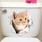 Gato 17