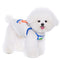 Top Deportivo Fresco para Perros Pequeños - Bichón Maltés Verano