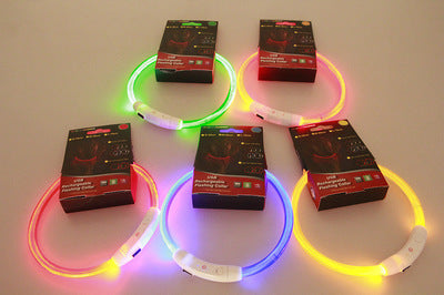 Collar LED Recargable USB para Mascotas - Luz de Seguridad Nocturna para Perros - Image 18