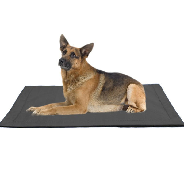 Tapete Resistente a Mordidas para Perros Grandes - Golden Retriever