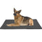 Tapete Resistente a Mordidas para Perros Grandes - Golden Retriever