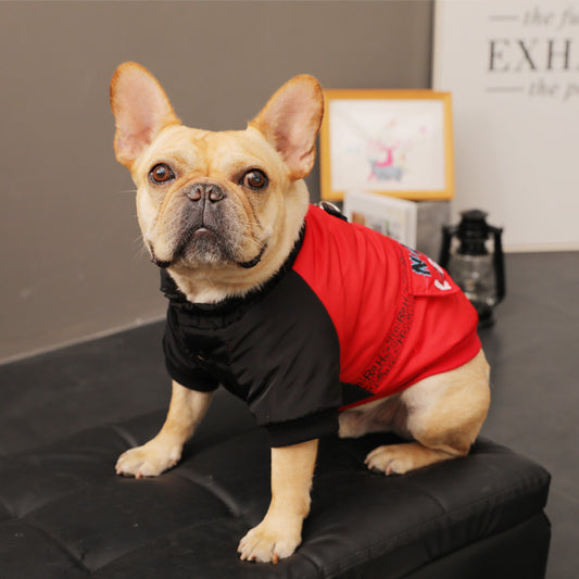 Ropa de abrigo para cachorros pequeños - Otoño e invierno