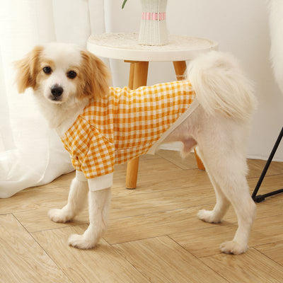 Suéter Deportivo para Perros con Cuello Alto Resistente al Viento - Image 11