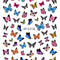 Borboleta