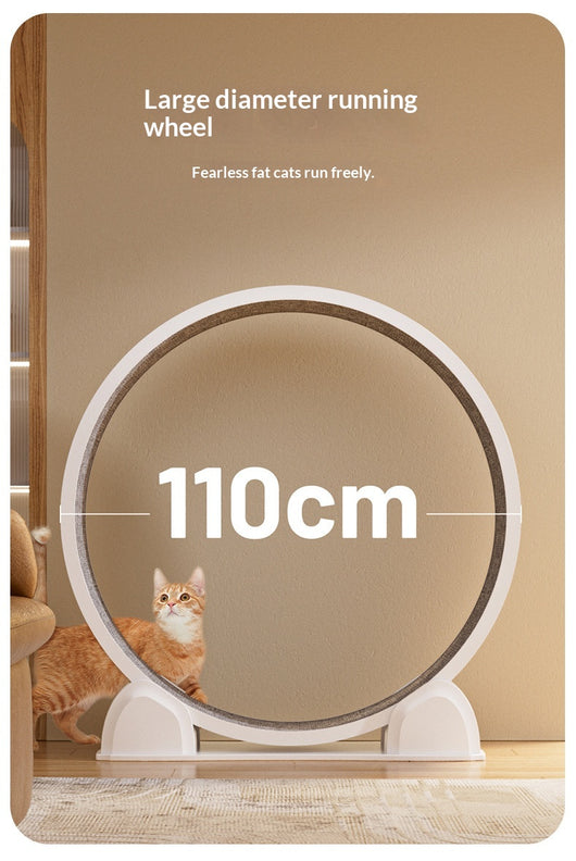 Caminadora Inteligente para Gatos con Pantalla Interactiva - Image 10
