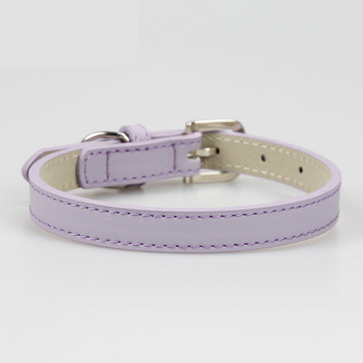 Collar de Cuero para Perro Pequeño Mediato Teddy - Image 3