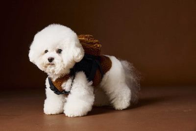 Chaleco de Terciopelo Acolchado Schnauzer Bichon sin Mangas - Image 43