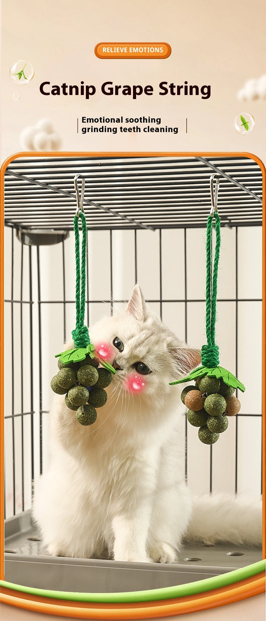 Juguete Interactivo de Menta y Uva para Gatos - Image 10