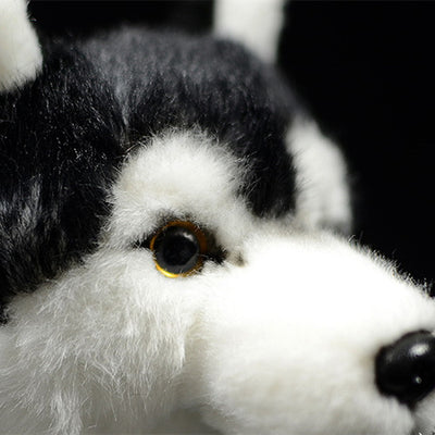 Peluche Husky de Ojos Mandarina - Juguete Perro Trineo - Image 4