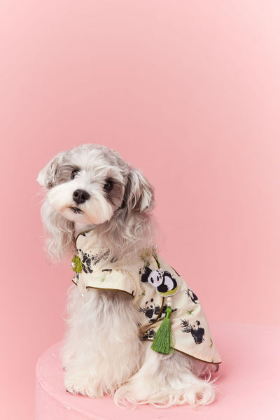 Chaleco sin Mangas Estilo Chino para Mascotas - Diseño Panda Teddy Schnauzer Bichón - Image 15