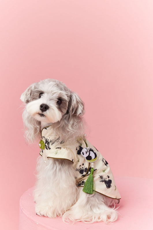 Chaleco sin Mangas Estilo Chino para Mascotas - Diseño Panda Teddy Schnauzer Bichón - Image 15